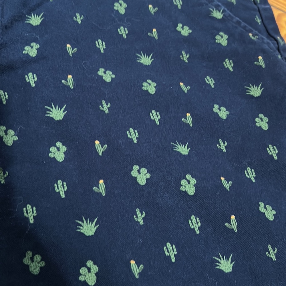 Public Record Navy And Green Cactus Shorts Sz 32